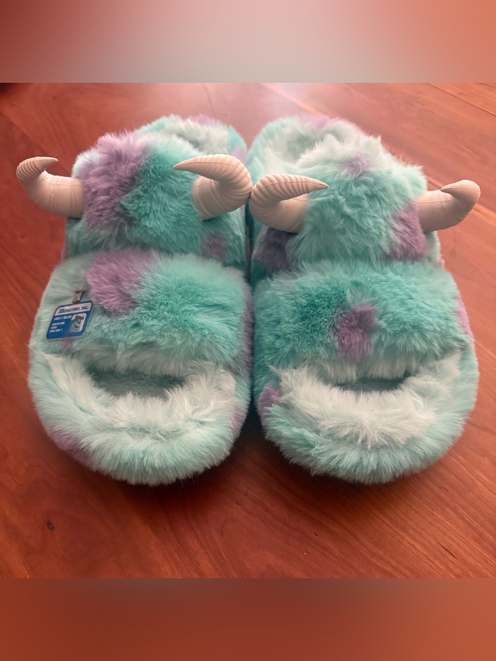 CROCS Monsters Inc, Sulley. NWOT